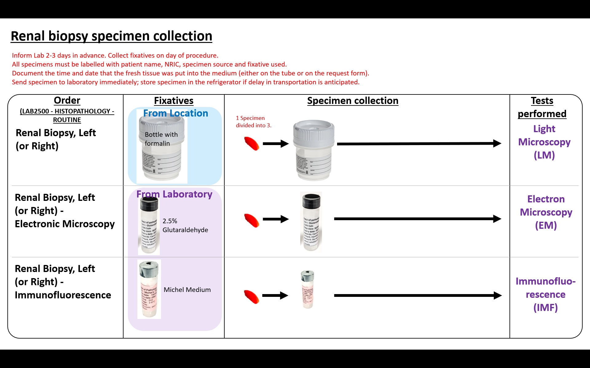 Renal biopsy specimen collection.jpg